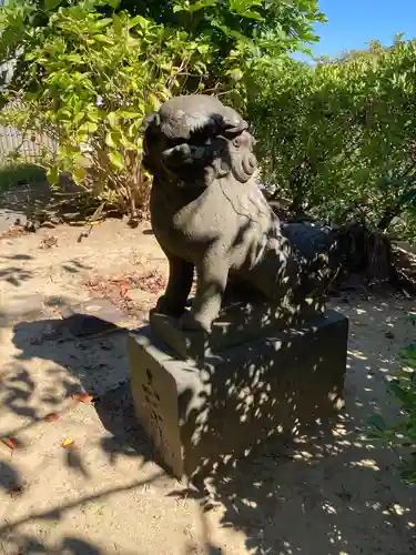 龍本寺の狛犬