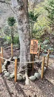 高宮神社(北海道)