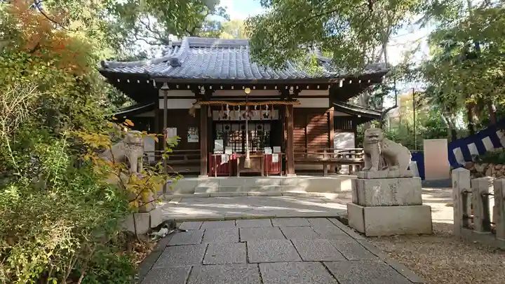 安居神社の本殿・本堂