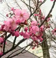 阿邪訶根神社の自然