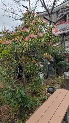 阿弥陀院(福岡県)