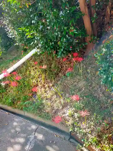 林法寺(奈良県)