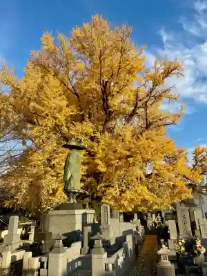 善福寺(東京都)