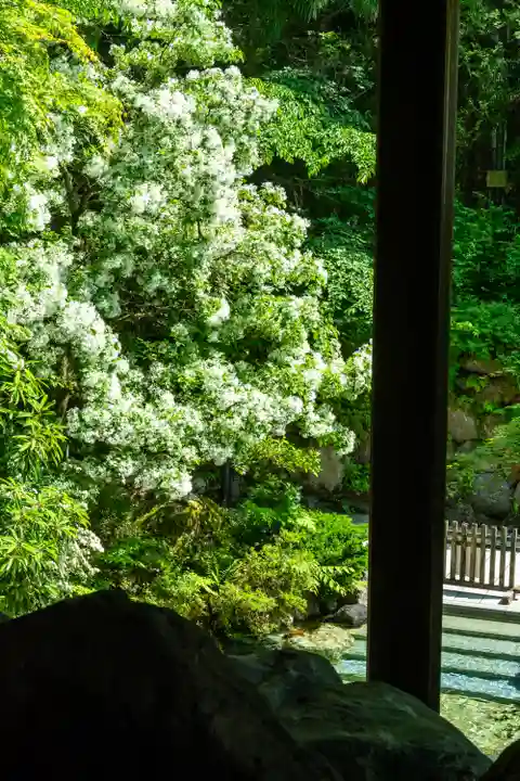 白山比咩神社(石川県)