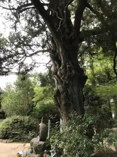 浄瑠璃寺のその他建物