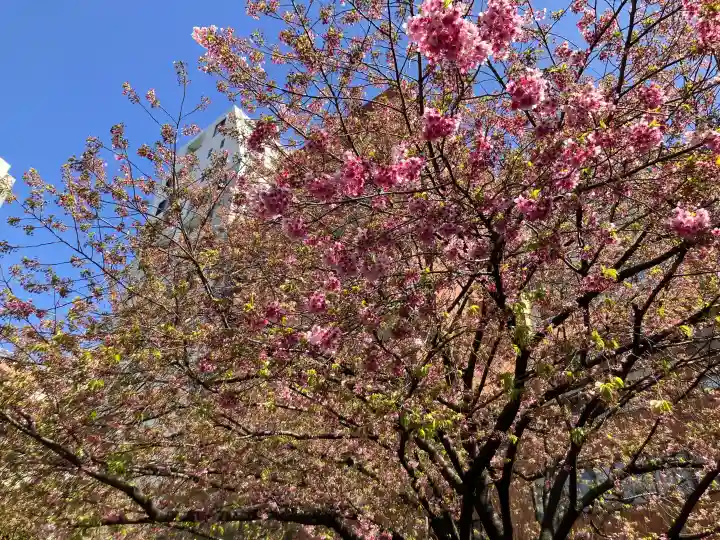 蔵前神社の{uncategorized: "未分類", other: "その他", undefined: "問題あり", building: "その他建物", grave: "お墓", sacred_gate: "鳥居", guardian: "狛犬", statue: "像", buddha: "仏像", history: "歴史", nature: "自然", garden: "庭園", animal: "動物", pagoda: "塔", temizu: "手水舎", mountain_gate: "山門・神門", sanctuary: "本殿・本堂", subordinate: "末社・摂社", art: "芸術", scenery: "景色", jizo: "地蔵", ema: "絵馬", goshuin: "御朱印", omikuji: "おみくじ", items: "授与品その他", amulet: "お守り", goshuincho: "御朱印帳", eats: "食事", festival: "お祭り", votive_dance: "神楽", shichigosan: "七五三参", wedding: "結婚式", experience: "体験その他", initially: "初詣", around: "周辺", anti_infection: "感染症対策"}