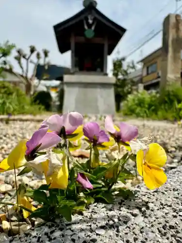 大松禅寺(京都府)