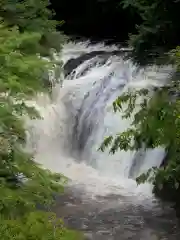 月居観音堂（月居山光明寺観音堂）の自然