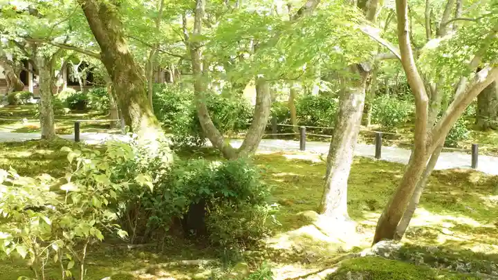 圓光寺(京都府)