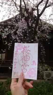 八重桜の御朱印✨