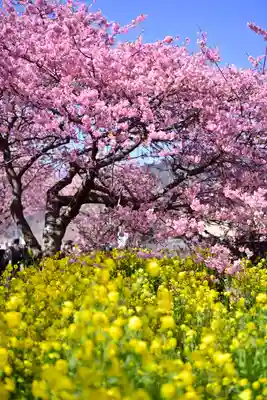 川津来宮神社(静岡県)