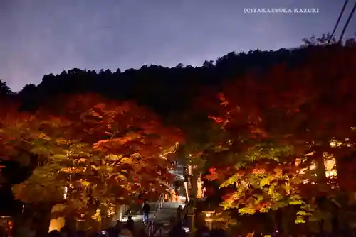大山阿夫利神社(神奈川県)