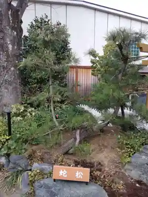 蛇窪神社(東京都)