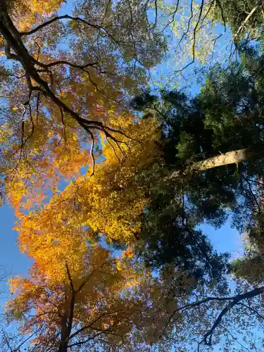 高尾山薬王院(東京都)