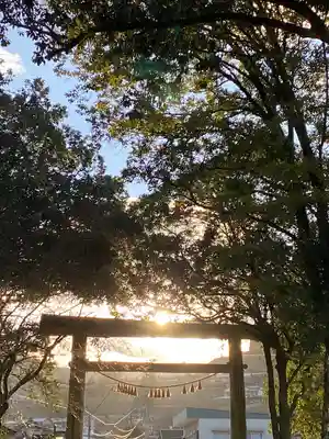 天岩戸神社(宮崎県)