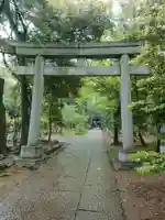 赤坂氷川神社の鳥居