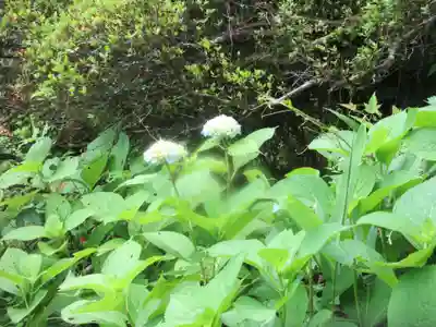 法雲寺(埼玉県)