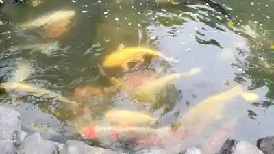 長安寺(群馬県)