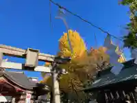 素盞雄神社(東京都)