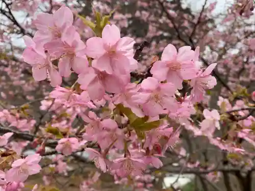 普門寺(切り絵御朱印発祥の寺)(愛知県)