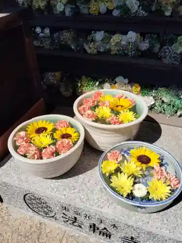 法輪寺(東京都)