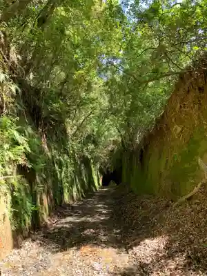熊野神社の自然