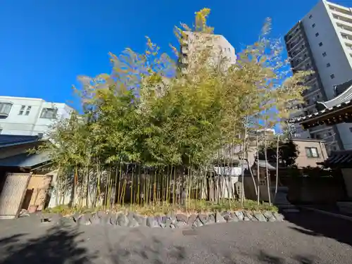 源長寺(東京都)