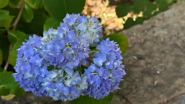 善光寺(山形県)