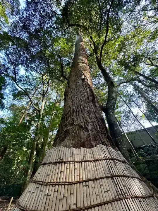 伊勢神宮内宮(皇大神宮)の{uncategorized: "未分類", other: "その他", undefined: "問題あり", building: "その他建物", grave: "お墓", sacred_gate: "鳥居", guardian: "狛犬", statue: "像", buddha: "仏像", history: "歴史", nature: "自然", garden: "庭園", animal: "動物", pagoda: "塔", temizu: "手水舎", mountain_gate: "山門・神門", sanctuary: "本殿・本堂", subordinate: "末社・摂社", art: "芸術", scenery: "景色", jizo: "地蔵", ema: "絵馬", goshuin: "御朱印", omikuji: "おみくじ", items: "授与品その他", amulet: "お守り", goshuincho: "御朱印帳", eats: "食事", festival: "お祭り", votive_dance: "神楽", shichigosan: "七五三参", wedding: "結婚式", experience: "体験その他", initially: "初詣", around: "周辺", anti_infection: "感染症対策"}