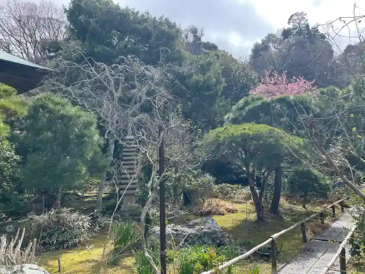 妙法寺の{uncategorized: "未分類", other: "その他", undefined: "問題あり", building: "その他建物", grave: "お墓", sacred_gate: "鳥居", guardian: "狛犬", statue: "像", buddha: "仏像", history: "歴史", nature: "自然", garden: "庭園", animal: "動物", pagoda: "塔", temizu: "手水舎", mountain_gate: "山門・神門", sanctuary: "本殿・本堂", subordinate: "末社・摂社", art: "芸術", scenery: "景色", jizo: "地蔵", ema: "絵馬", goshuin: "御朱印", omikuji: "おみくじ", items: "授与品その他", amulet: "お守り", goshuincho: "御朱印帳", eats: "食事", festival: "お祭り", votive_dance: "神楽", shichigosan: "七五三参", wedding: "結婚式", experience: "体験その他", initially: "初詣", around: "周辺", anti_infection: "感染症対策"}