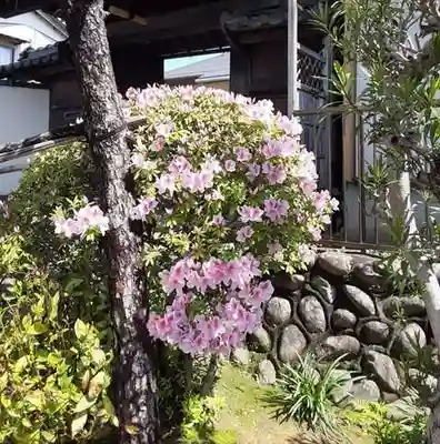 西方山極楽寺の自然