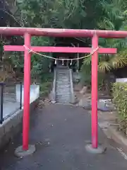 田辺稲荷神社の鳥居