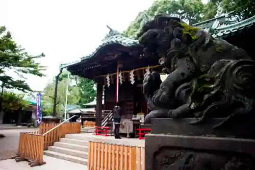 代々木八幡宮の本殿・本堂