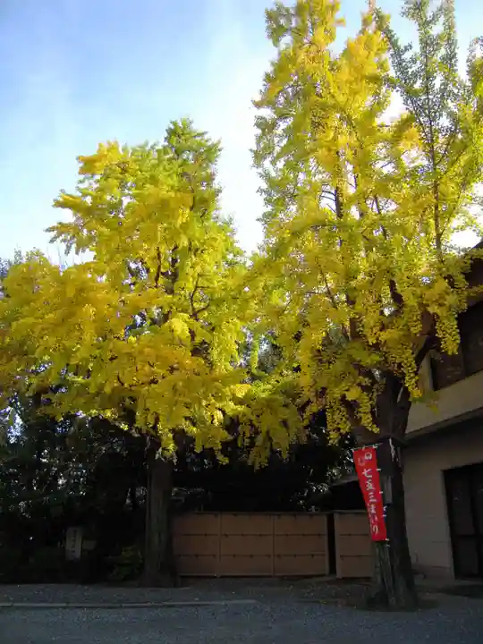 玉造稲荷神社の自然