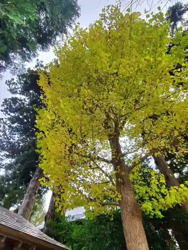 高司神社〜むすびの神の鎮まる社〜(福島県)