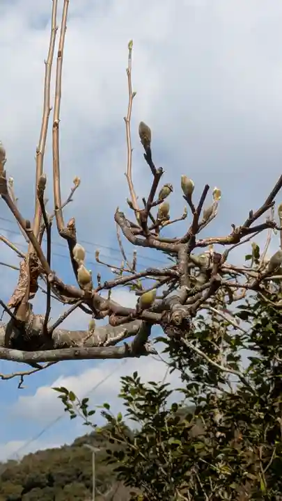 惠心院(恵心院)(京都府)