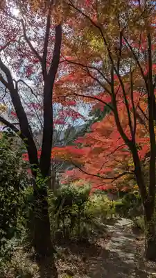 十輪寺(京都府)