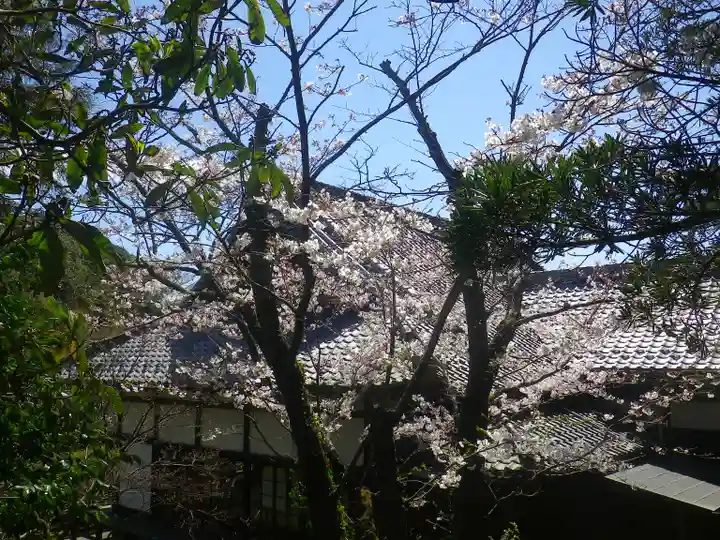 浄光明寺の自然