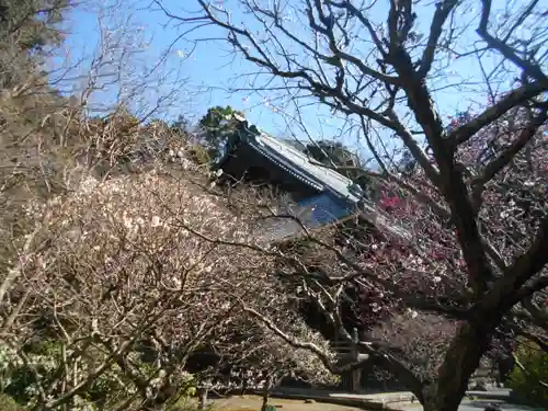 妙本寺の景色