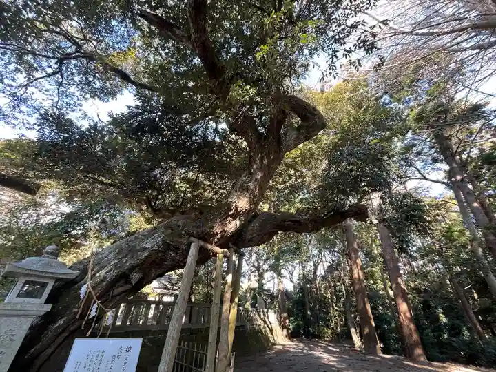 莫越山神社(千葉県)