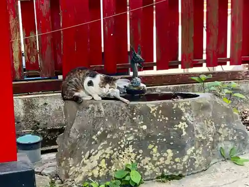 斗瑩稲荷神社(宮城県)