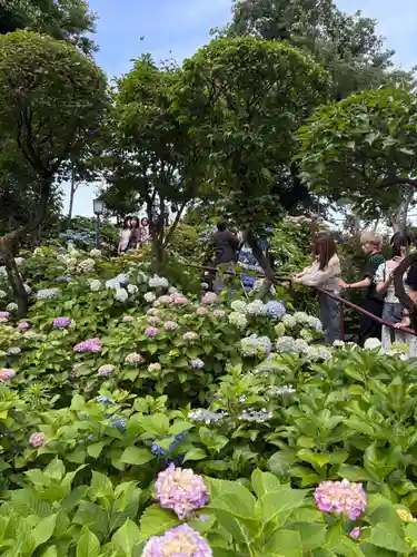 白山神社(東京都)