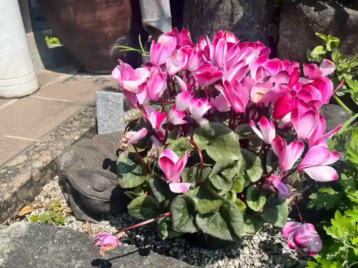 一運寺(大阪府)