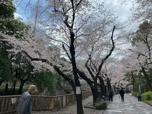王子神社の自然
