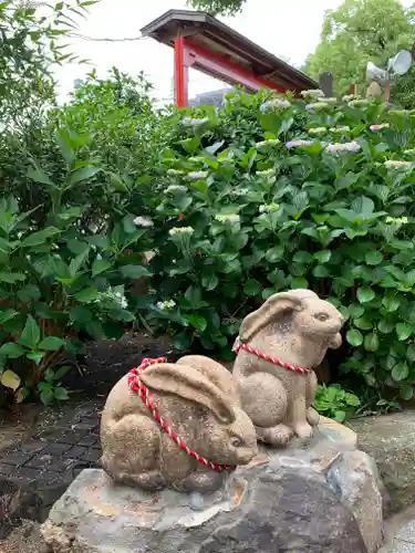 尼崎えびす神社の狛犬