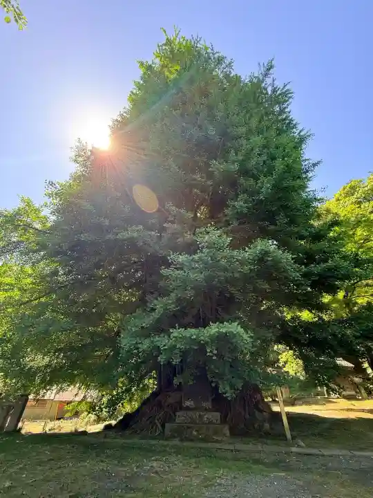 正法寺の{uncategorized: "未分類", other: "その他", undefined: "問題あり", building: "その他建物", grave: "お墓", sacred_gate: "鳥居", guardian: "狛犬", statue: "像", buddha: "仏像", history: "歴史", nature: "自然", garden: "庭園", animal: "動物", pagoda: "塔", temizu: "手水舎", mountain_gate: "山門・神門", sanctuary: "本殿・本堂", subordinate: "末社・摂社", art: "芸術", scenery: "景色", jizo: "地蔵", ema: "絵馬", goshuin: "御朱印", omikuji: "おみくじ", items: "授与品その他", amulet: "お守り", goshuincho: "御朱印帳", eats: "食事", festival: "お祭り", votive_dance: "神楽", shichigosan: "七五三参", wedding: "結婚式", experience: "体験その他", initially: "初詣", around: "周辺", anti_infection: "感染症対策"}