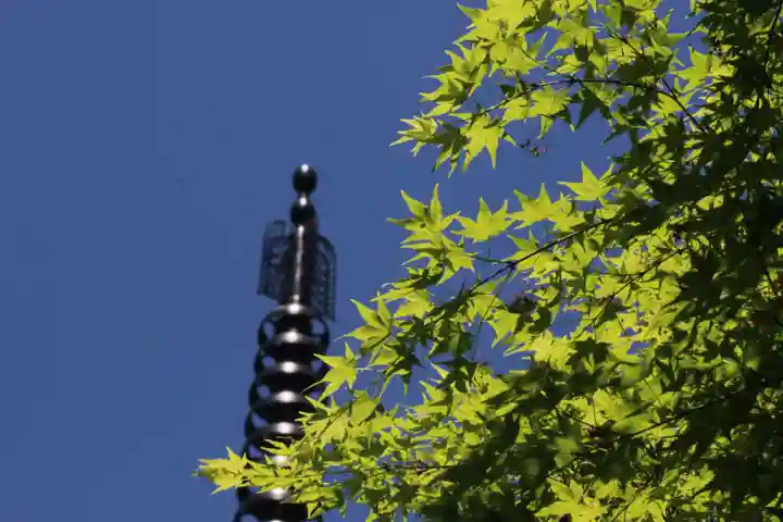 国宝 大法寺(長野県)