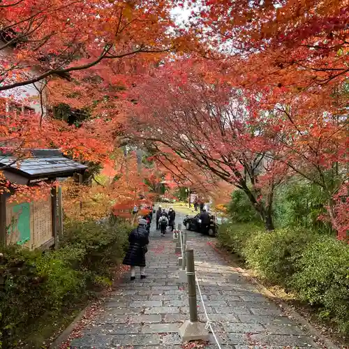 曼殊院門跡(京都府)