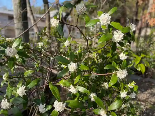 伊勢の国 四天王寺(三重県)
