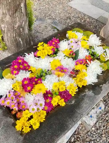 常清寺の手水舎